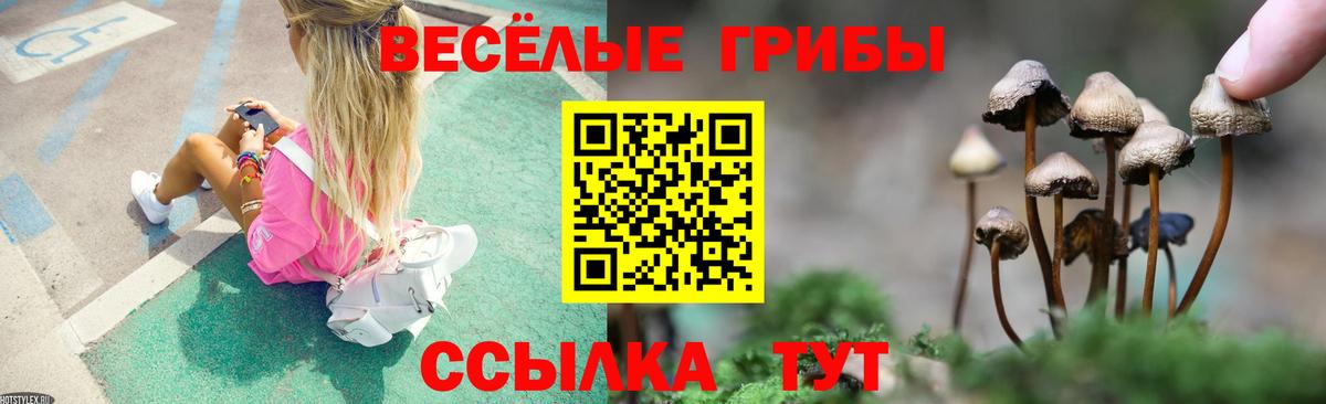 Псилоцибиновые грибы Psilocybine cubensis  Вход с VPN  Кольчугино 
