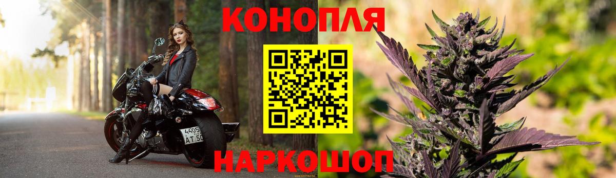 Бошки марихуана тримм  Вход с VPN  Бошки марихуана ГИДРОПОН  Кольчугино  Каннабис гибрид 